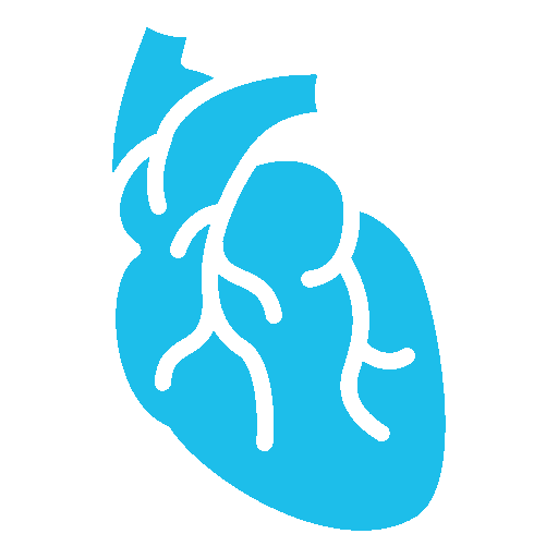 Srce, pluća i krvni sudovi